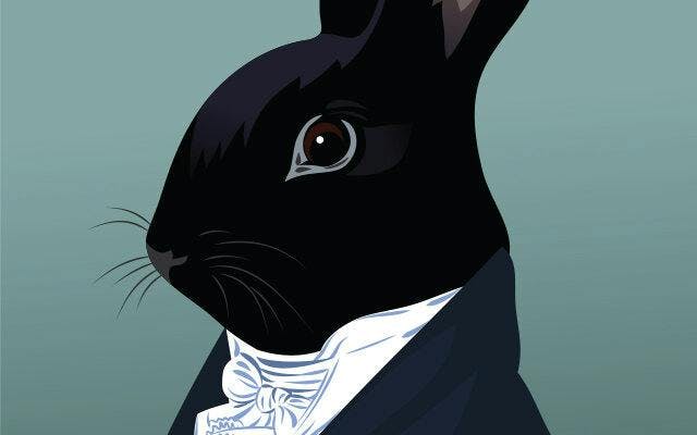Rabbit in a suit.jpg