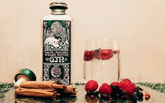 Perfect G&T with cinnamon stick and raspberries