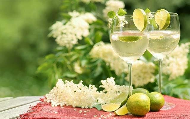 Elderflower, Gooseberry Gin and Prosecco Cocktails