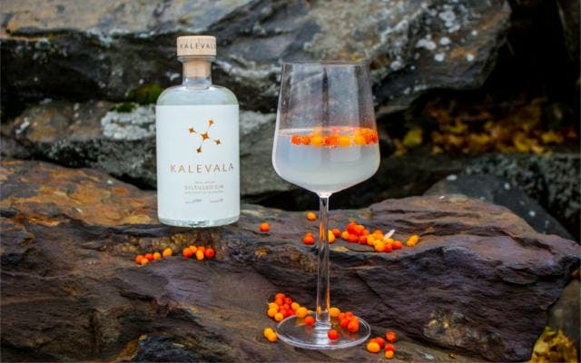 Kalevala gin and tonic