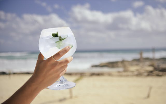 Gin and tonic on the beach for gin cruise
