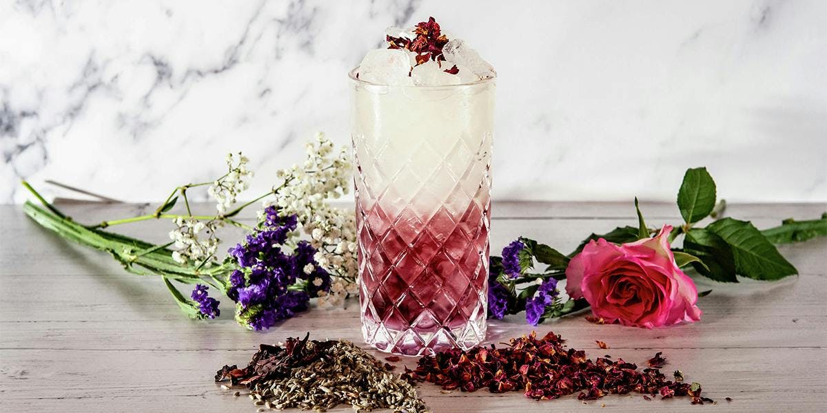 Is the Cranberry & Lychee Collins the most handsome drink of the summer?