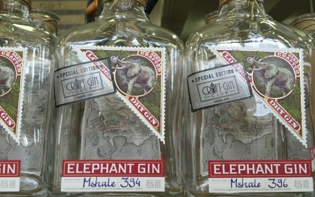 The Craft Gin Club exclusive edition of Elephant Gin, named after the elephant Mshale.