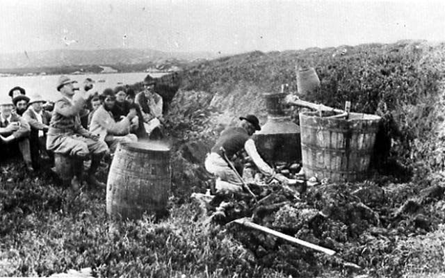Black and white photo of irish workers producing moonshine poitin
