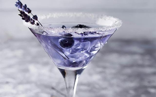 lavender-blueberry-gin-cocktail.jpg