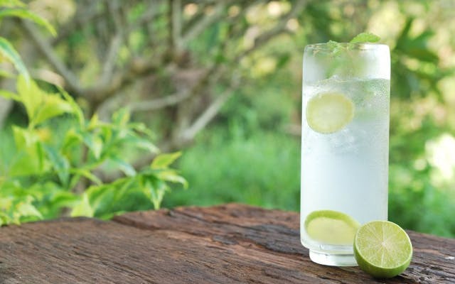 Occitan gin and tonic over ice in a highball glass with slices of lime and mint sprigs on an outdoor table with foliage in background