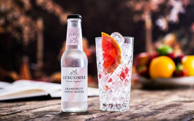 Luscombe grapefruit tonic water with a slice of pink grapefruit