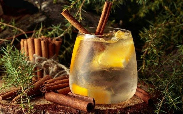 Festive G&T with cinnamon and clementines