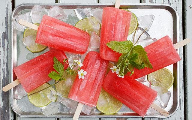 Rhubarb & Ginger Gin and Lixer Tonic Water Ice Lollies