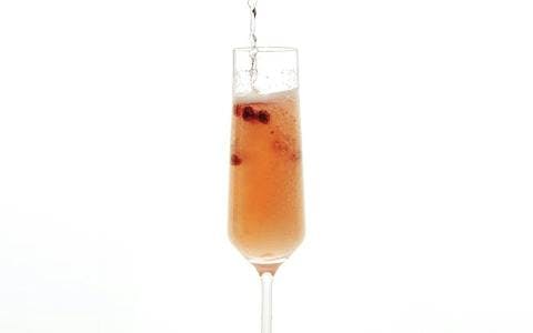 forager's fizz