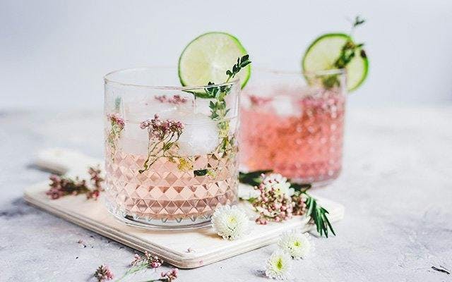 Floradora Cocktail.jpg