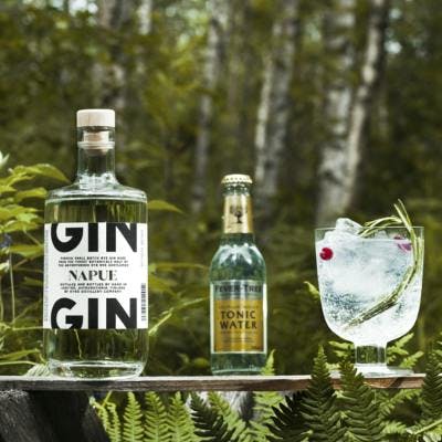 Napue Gin and Tonic 400x400.png