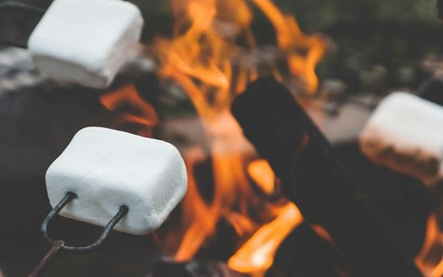 gin+tonic+marshmallows+toasted+on+forks+over+a+fire.png