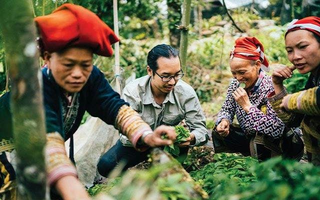 Foraging for Vietnamese Botanicals