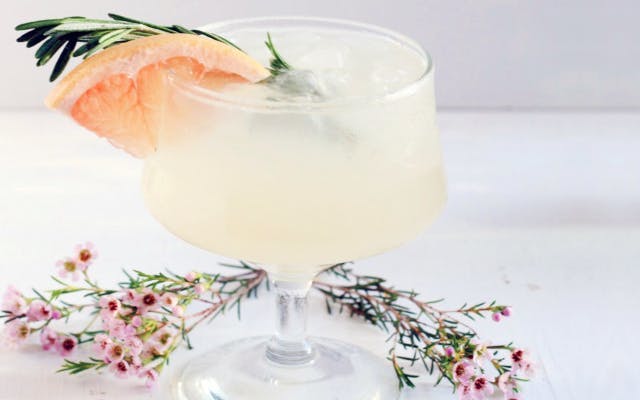 Rosemary Greyhound cocktail with grapefruit and rosemary sprig to garnish