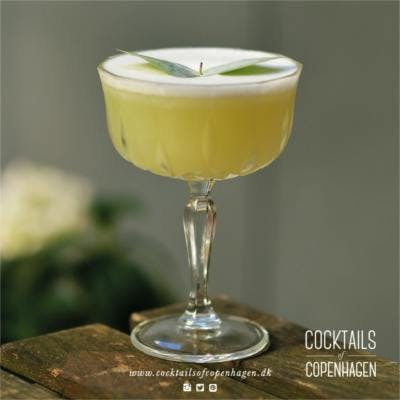 Eucalyptus gin martini bizarre cocktail