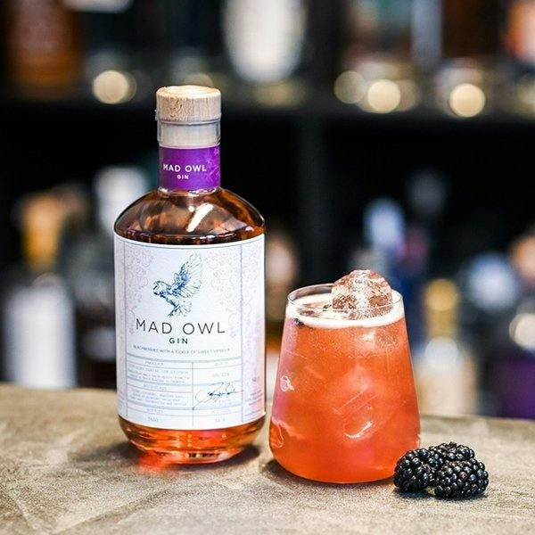 Blackberry Gin Liqueur with cocktail