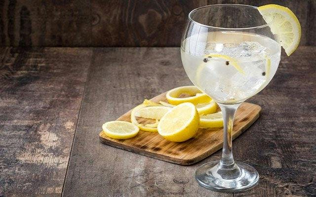 London Dry GIn and tonic recipe