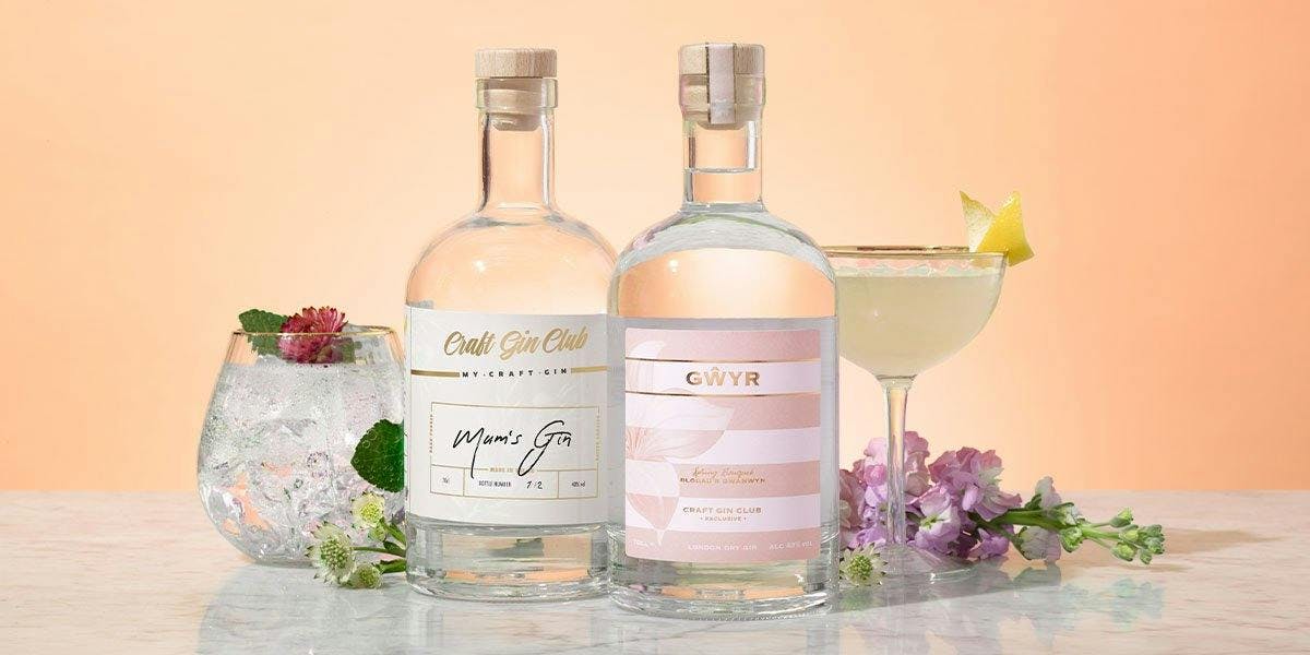 18 of the best Mother's Day gifts for mums that love gin!