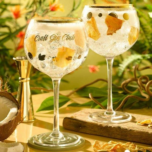 The perfect Gin YVY Mar G&T suggestion