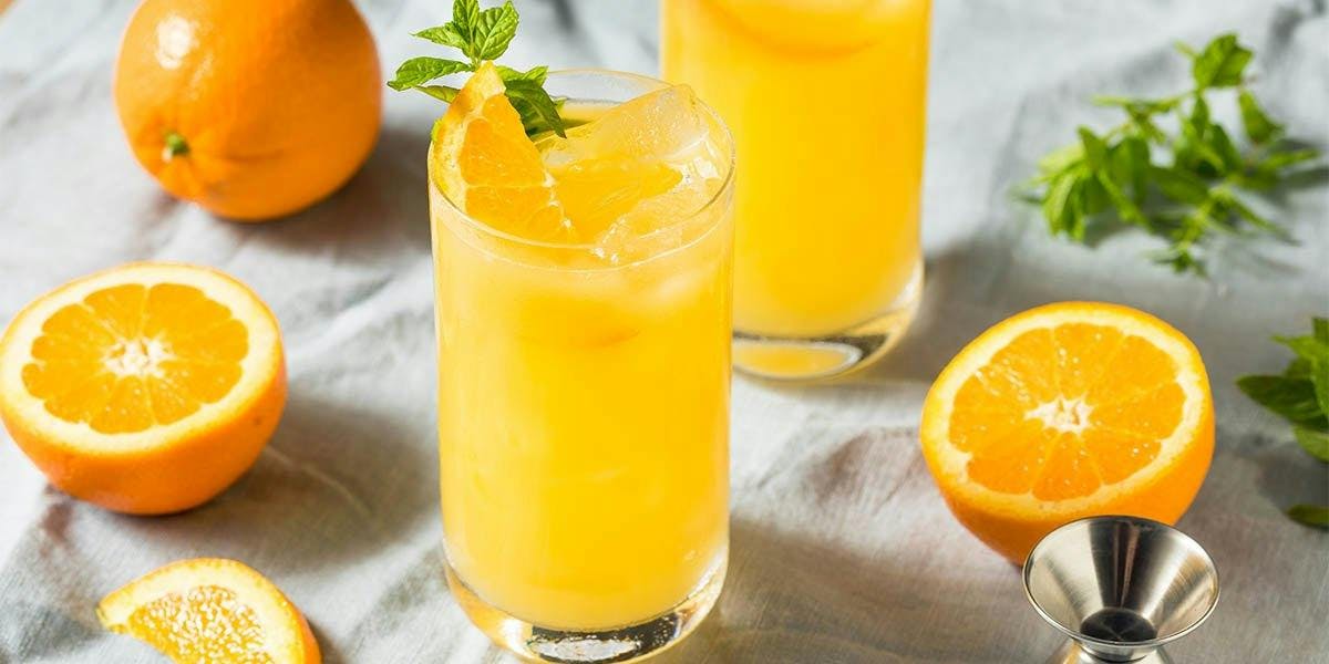 We are in love with these three orange juice and gin cocktail recipes!