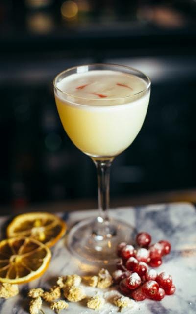Snowflake sour cocktail in martini glass with dried oranges and cranberries