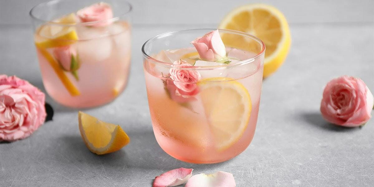 These cider and gin cocktails are perfect for sipping in the sun!
