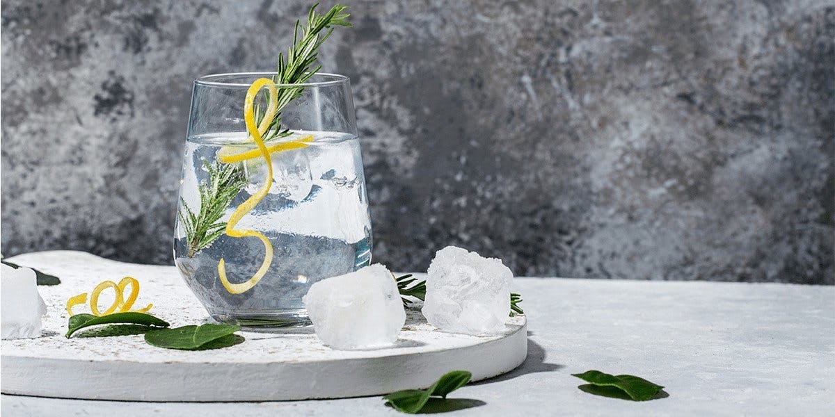 Alcohol-free gin: everything you need to know about low- and no-alcohol drinks