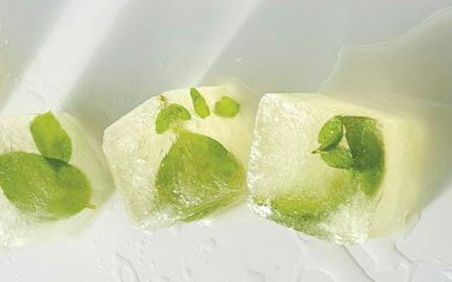 Vermouth Basil Ice Cube.png