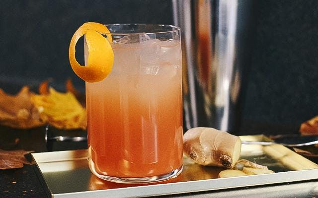 orange cranberry ginger gin highball cocktail