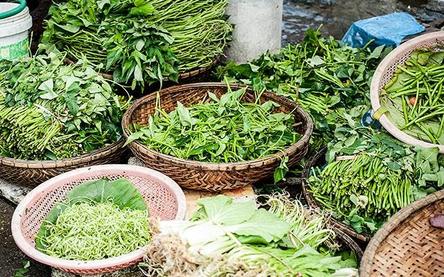 Baskets of herbs