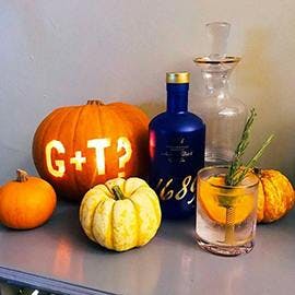 Lauren’s got the right idea this Halloween! The pumpkin question is ‘G+T’? The answer is 'yes please!’