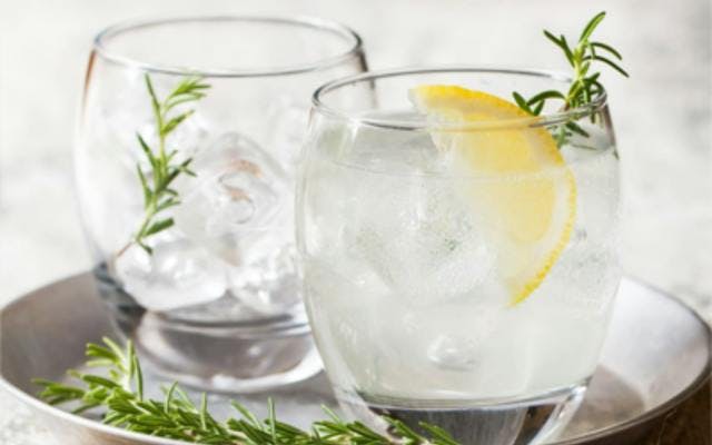 botanical cocktails gin and tonics with rosemary and lemon garnish