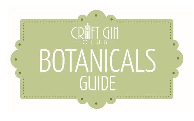 botanicals guide craft gin club