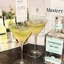 Limoncello-gin-cocktail.JPG