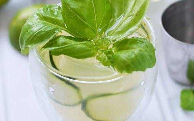 Cucumber basil gin tonic