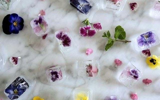 floral ice cubes.png