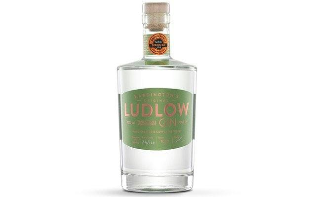 Ludlow Tirple Citrus and Pomegranate Gin No. 2