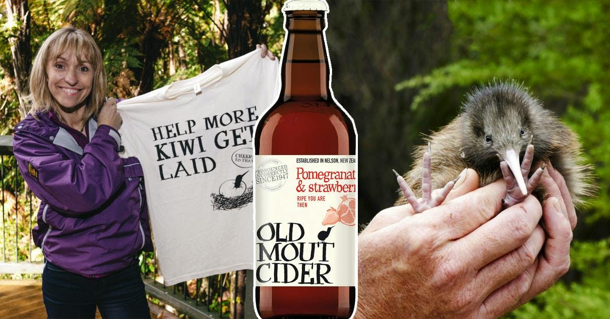 Old Mout Kiwi conservation campaign