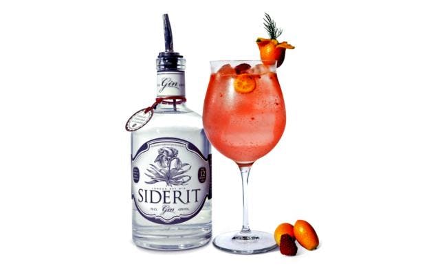 raspberry gin and tonic siderit cocktail