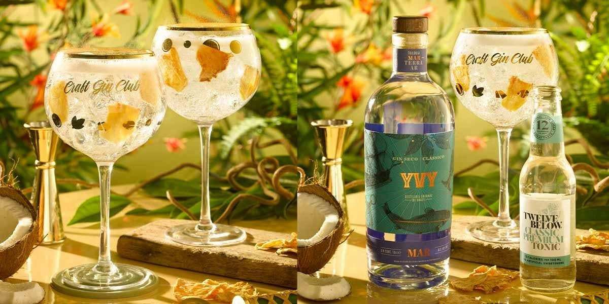 This has to be the perfect YVY gin and tonic recipe!