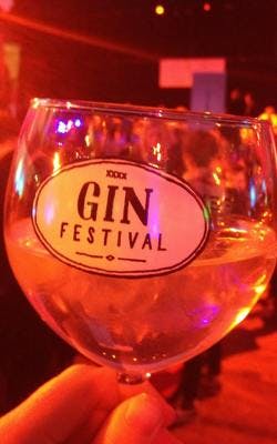 gin festival