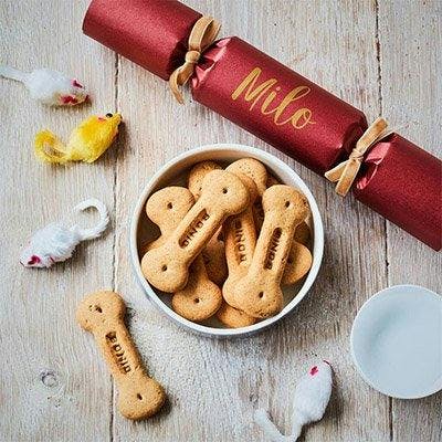 Christmas Crackers for pets