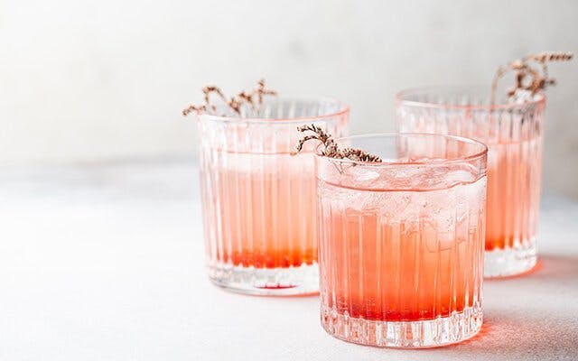 Gin and pink lemonade cocktail recipe