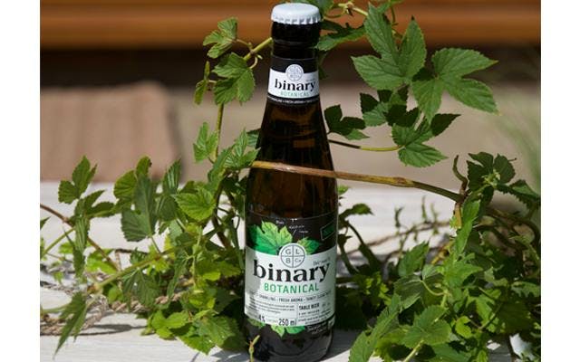 binary+botanical+vines.png