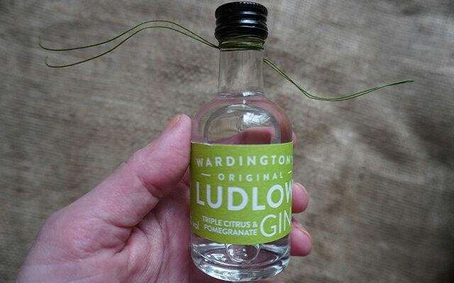 Miniature bottle of craft gin
