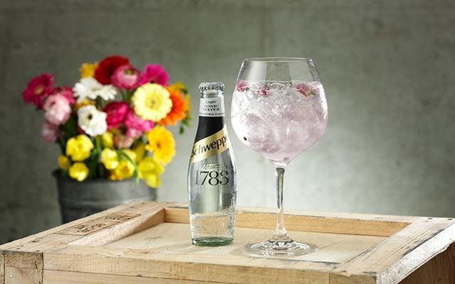 Manchester Pink gin and schweppes lite