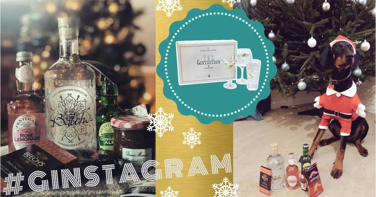 Say hello to December's Batch #Ginstagram Winners!
