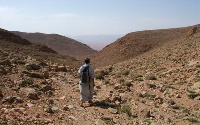 Moroccan desert canyon