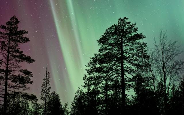 Northern lights in Finnish wilderness